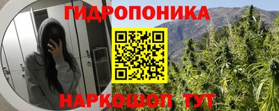 PSILOCYBIN Дмитров