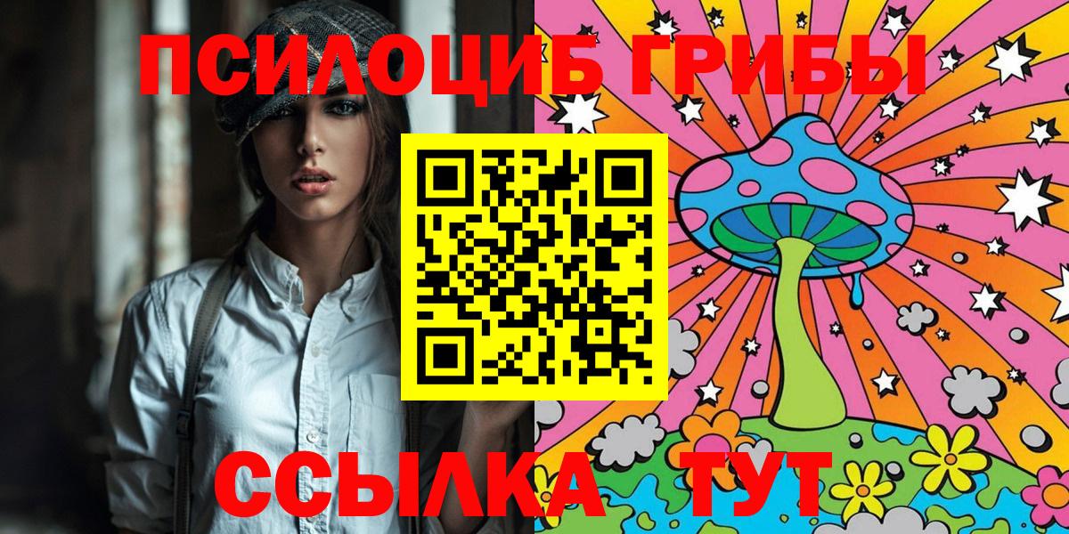 Псилоцибиновые грибы GOLDEN TEACHER Губкин