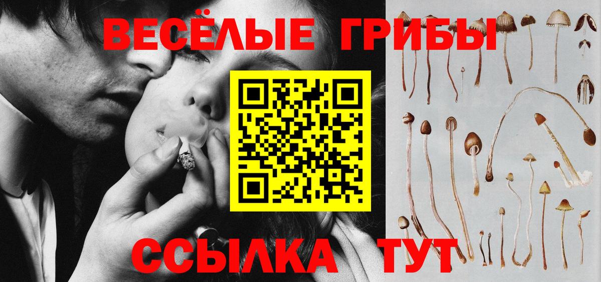 Галлюциногенные грибы прущие грибы  Вход с VPN  Галлюциногенные грибы прущие грибы  Губкин 