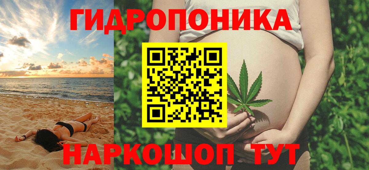 Конопля SATIVA & INDICA  Канабис сатива  Губкин  Марихуана VHQ  Вход с VPN 